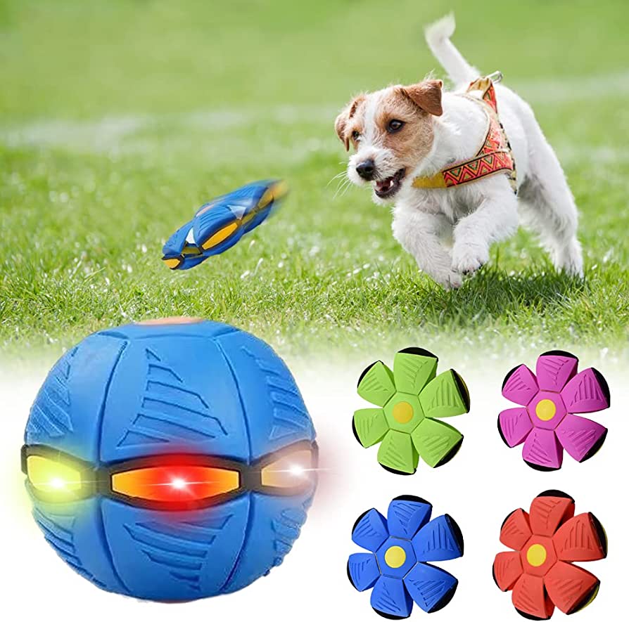 PawsomeFinds™ Frisbee Ball