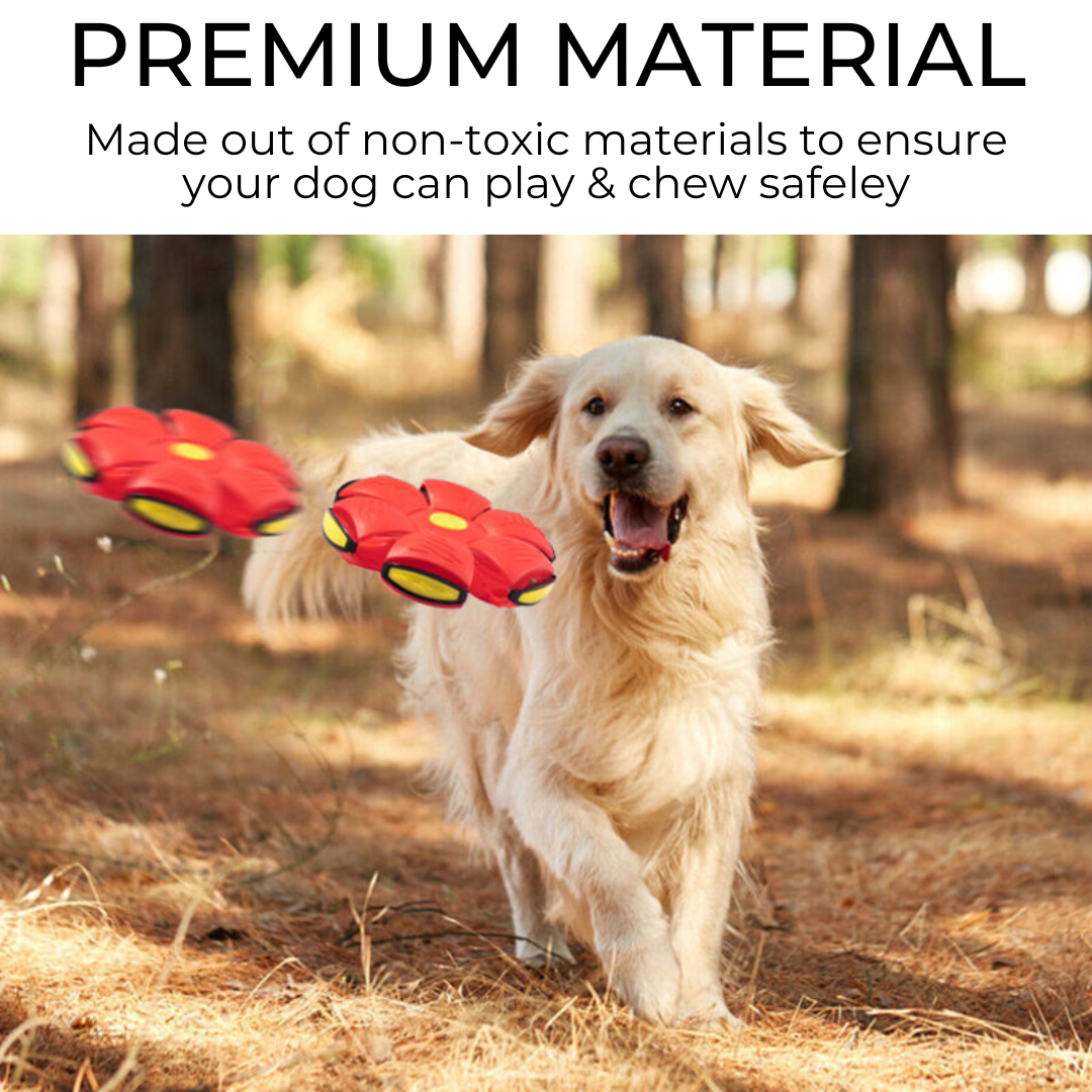 PawsomeFinds™ Frisbee Ball