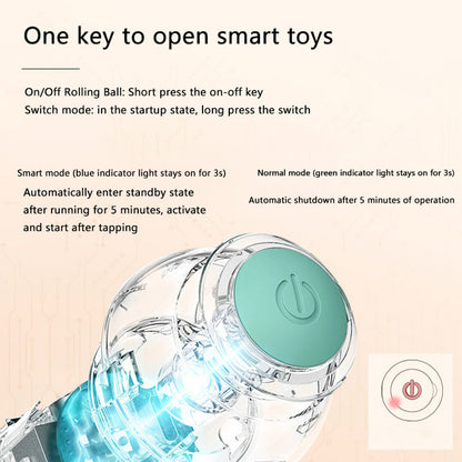 PawsomeFinds™ Interactive Ball