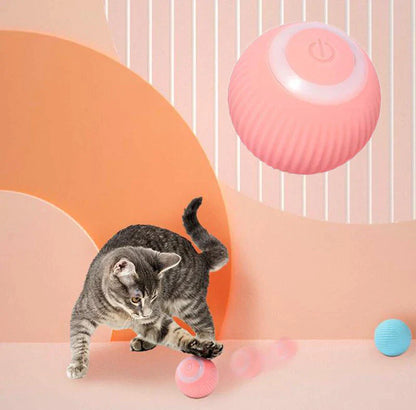 PawsomeFinds™ Interactive Ball