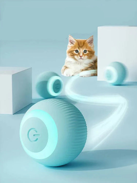 PawsomeFinds™ Interactive Ball