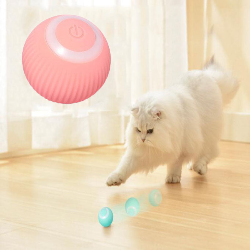 PawsomeFinds™ Interactive Ball
