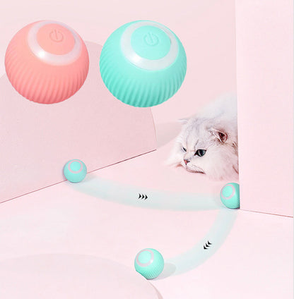 PawsomeFinds™ Interactive Ball
